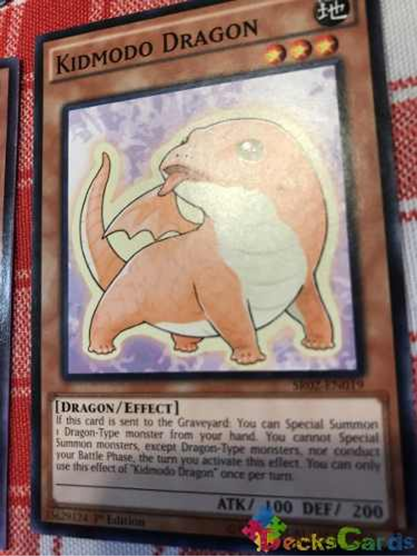 Kidmodo Dragon - sr02-en019 - Common 1st Edition 1