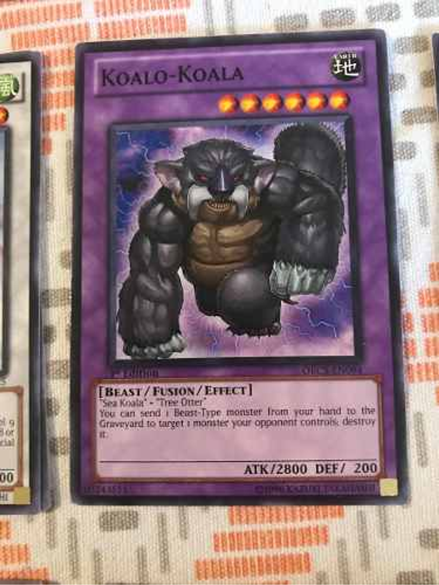 Koalo-koala - orcs-en094 - Common 1st Edition 1