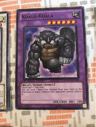 Koalo-koala - orcs-en094 - Common 1st Edition