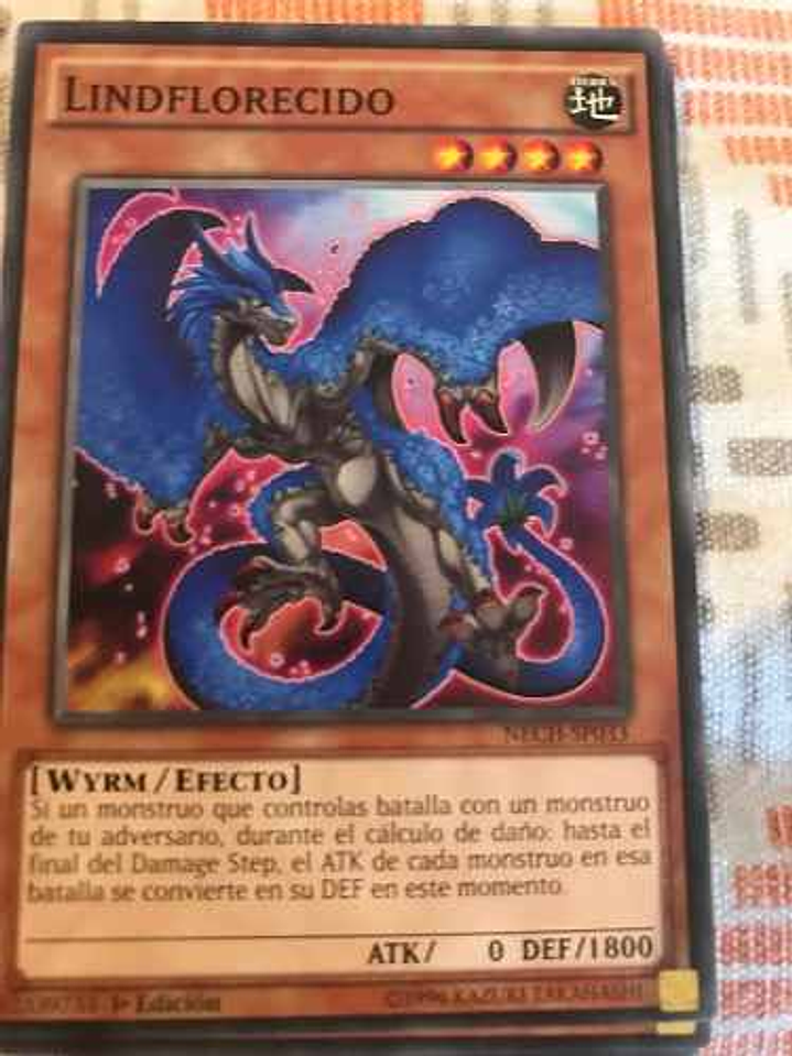 Lindbloom - nech-en033 - Common 1st Edition 1