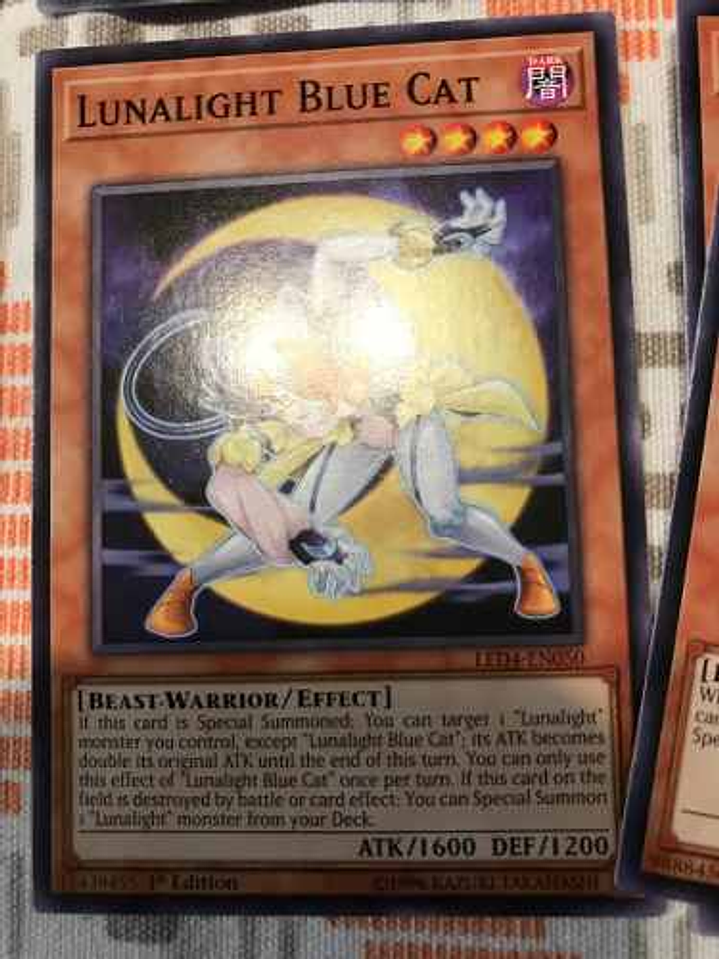 Lunalight Blue Cat - led4-en050 - Common 1st Edition 1