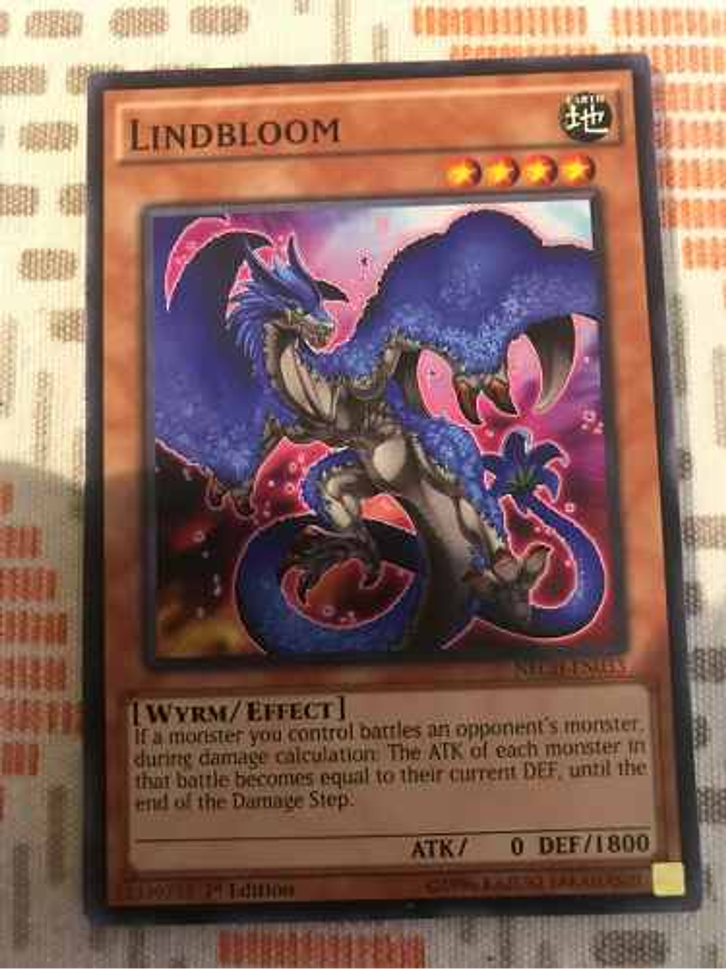 Lindbloom - nech-en033 - Common 1st Edition 2