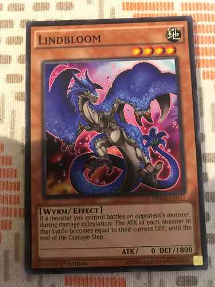 Lindbloom - nech-en033 - Common 1st Edition 2