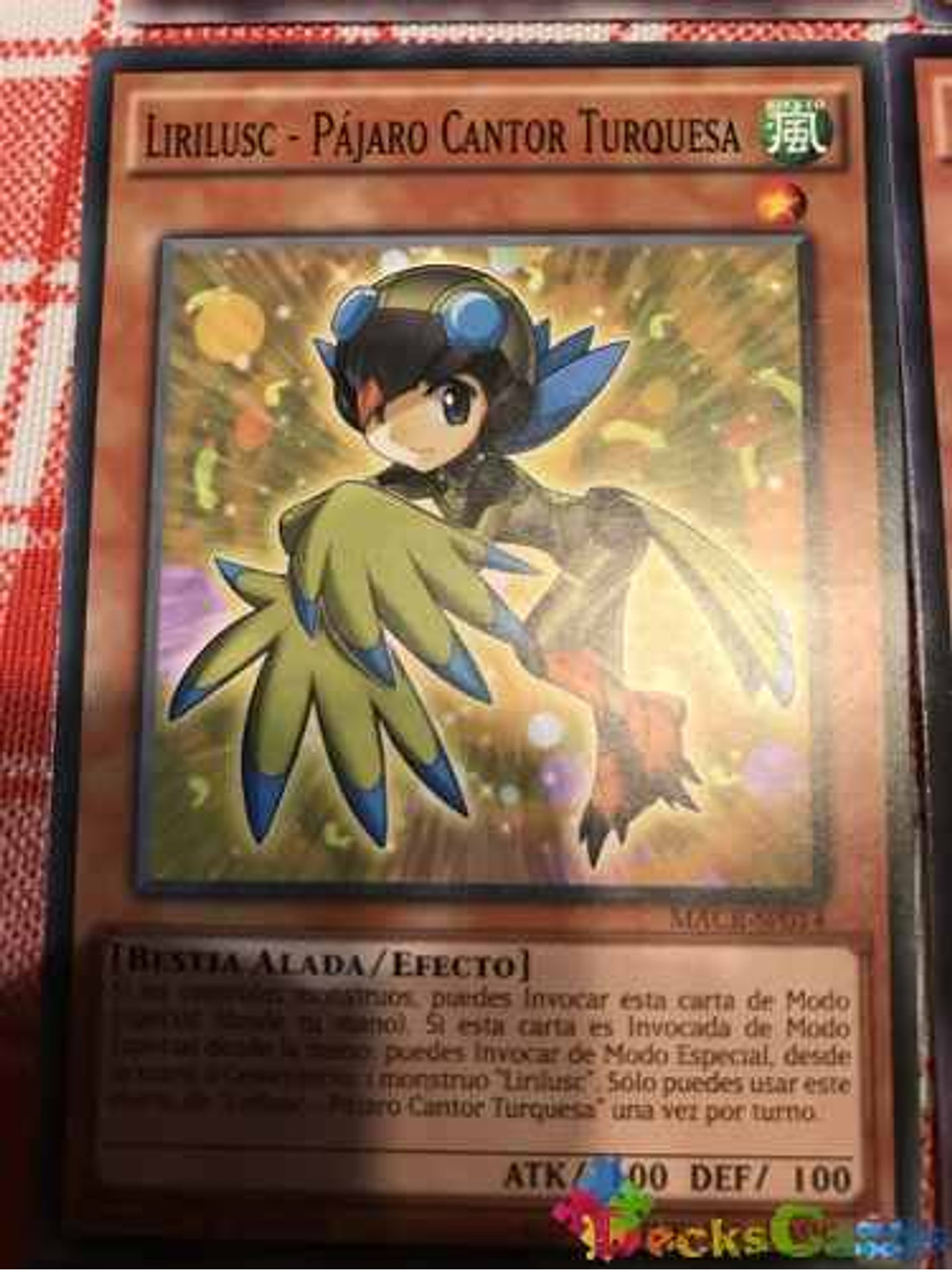 Lyrilusc - Turquoise Warbler - macr-en014 - Common 1st Edition 1