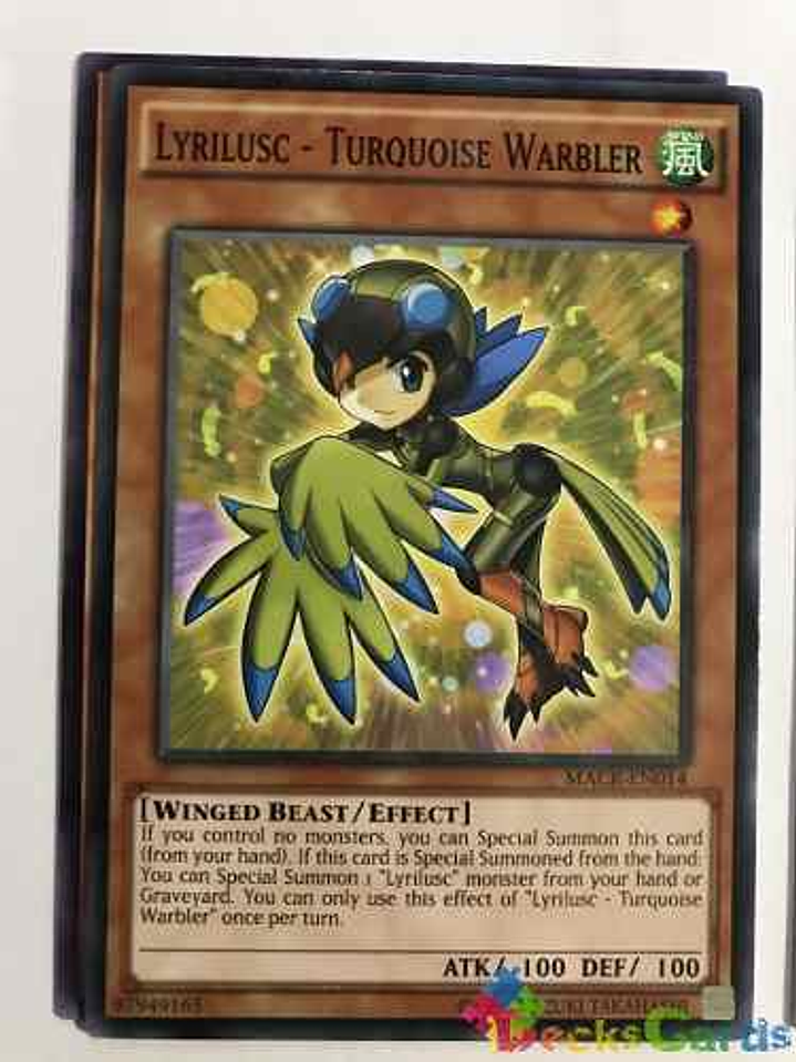 Lyrilusc - Turquoise Warbler - macr-en014 - Common Unlimited 1