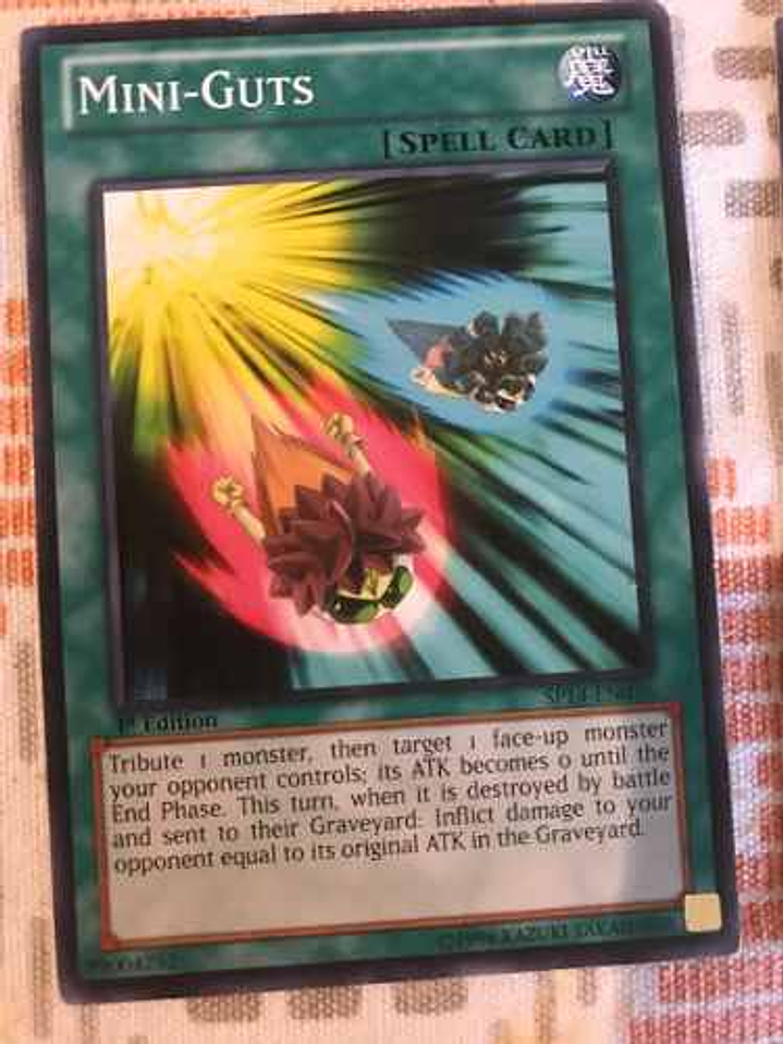 Mini-guts - sp14-en036 - Common 1st Edition 1