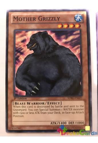 Mother Grizzly - sdre-en021 - Common 1st Edition