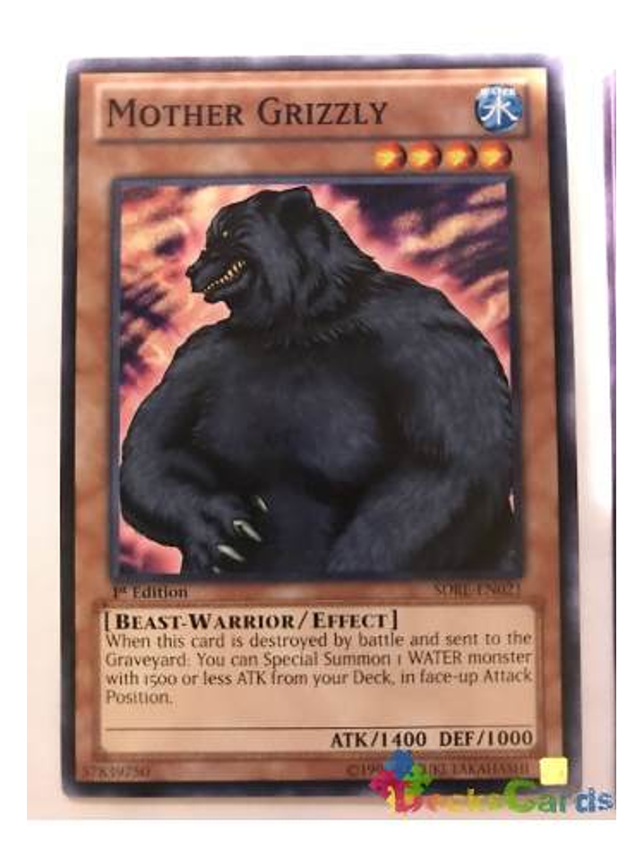 Mother Grizzly - sdre-en021 - Common 1st Edition 1