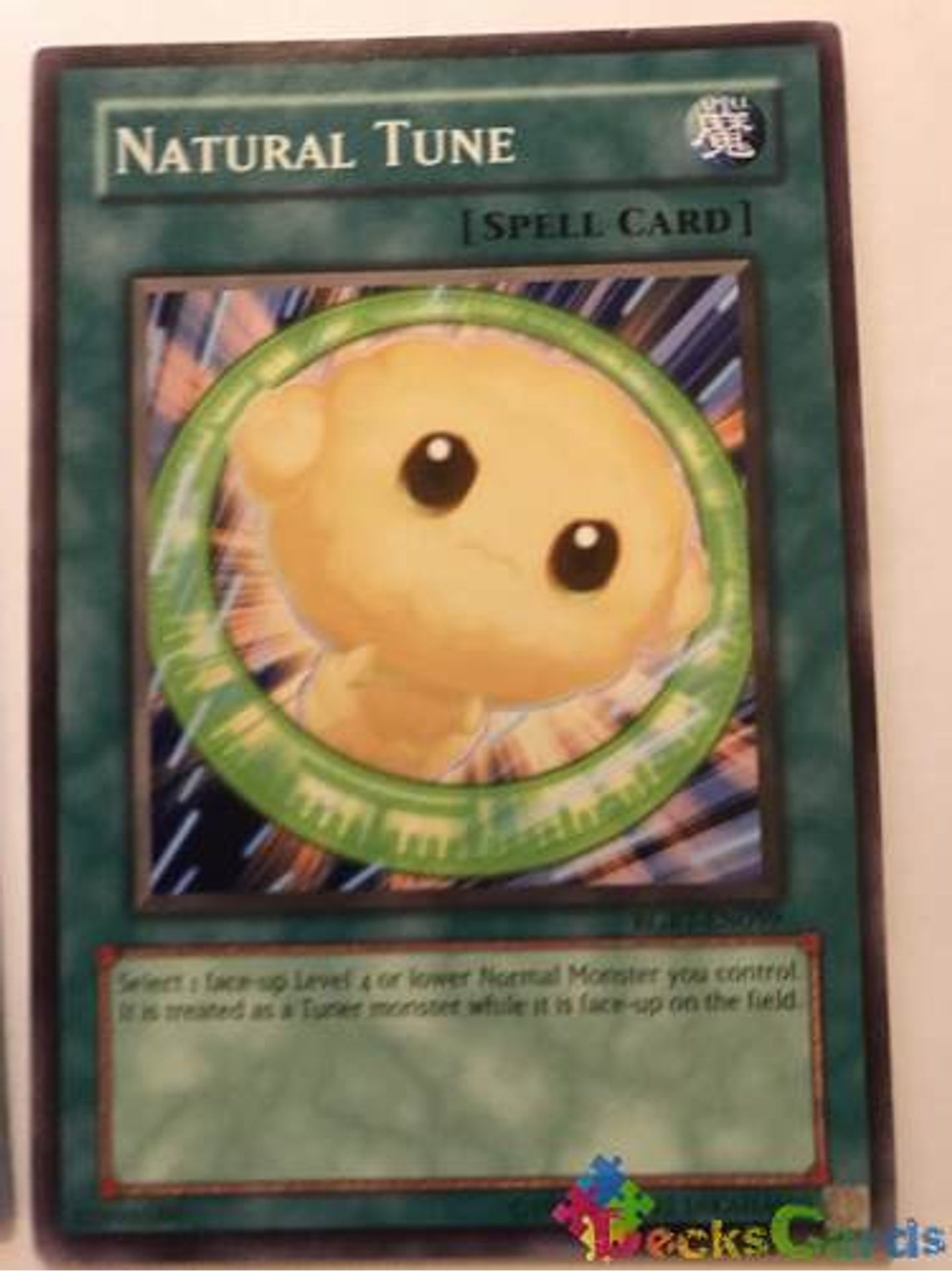 Natural Tune - rgbt-en059 - Common Unlimited 1