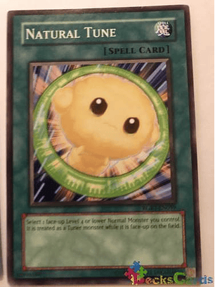 Natural Tune - rgbt-en059 - Common Unlimited