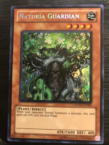 Naturia Guardian - ha02-en003 - Secret Rare Unlimited