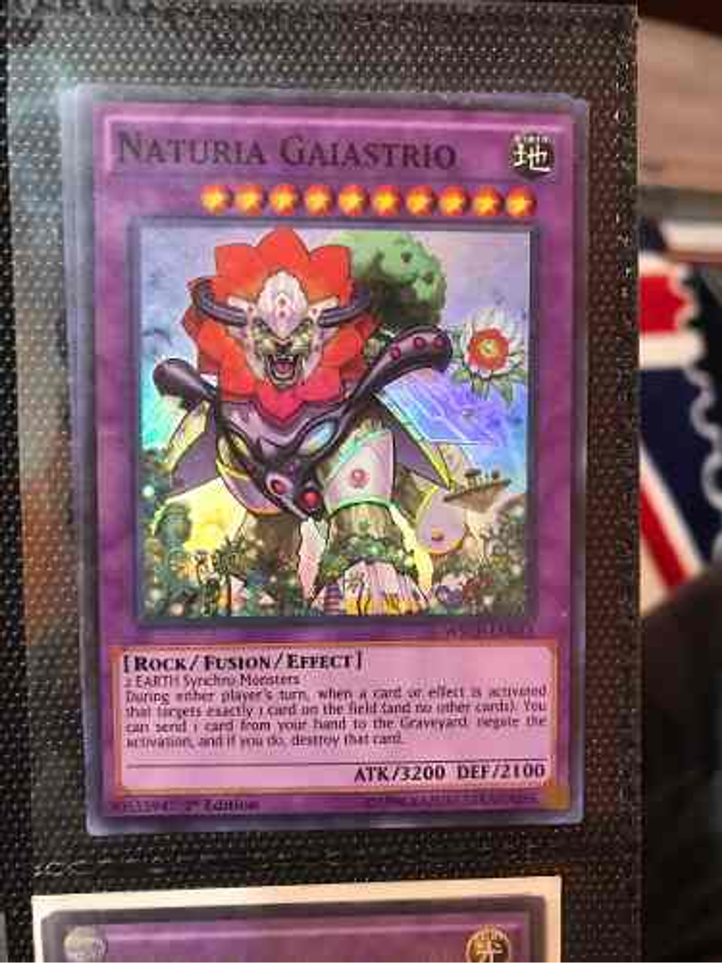 Naturia Gaiastrio - Wsup-en033 - Super Rare 1st Edition 1