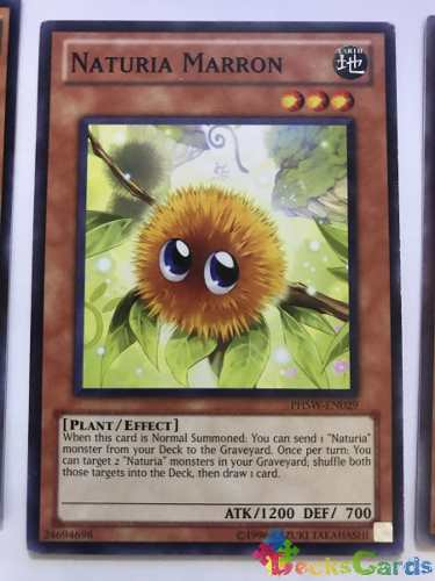 Naturia Marron - phsw-en029 - Common Unlimited 1