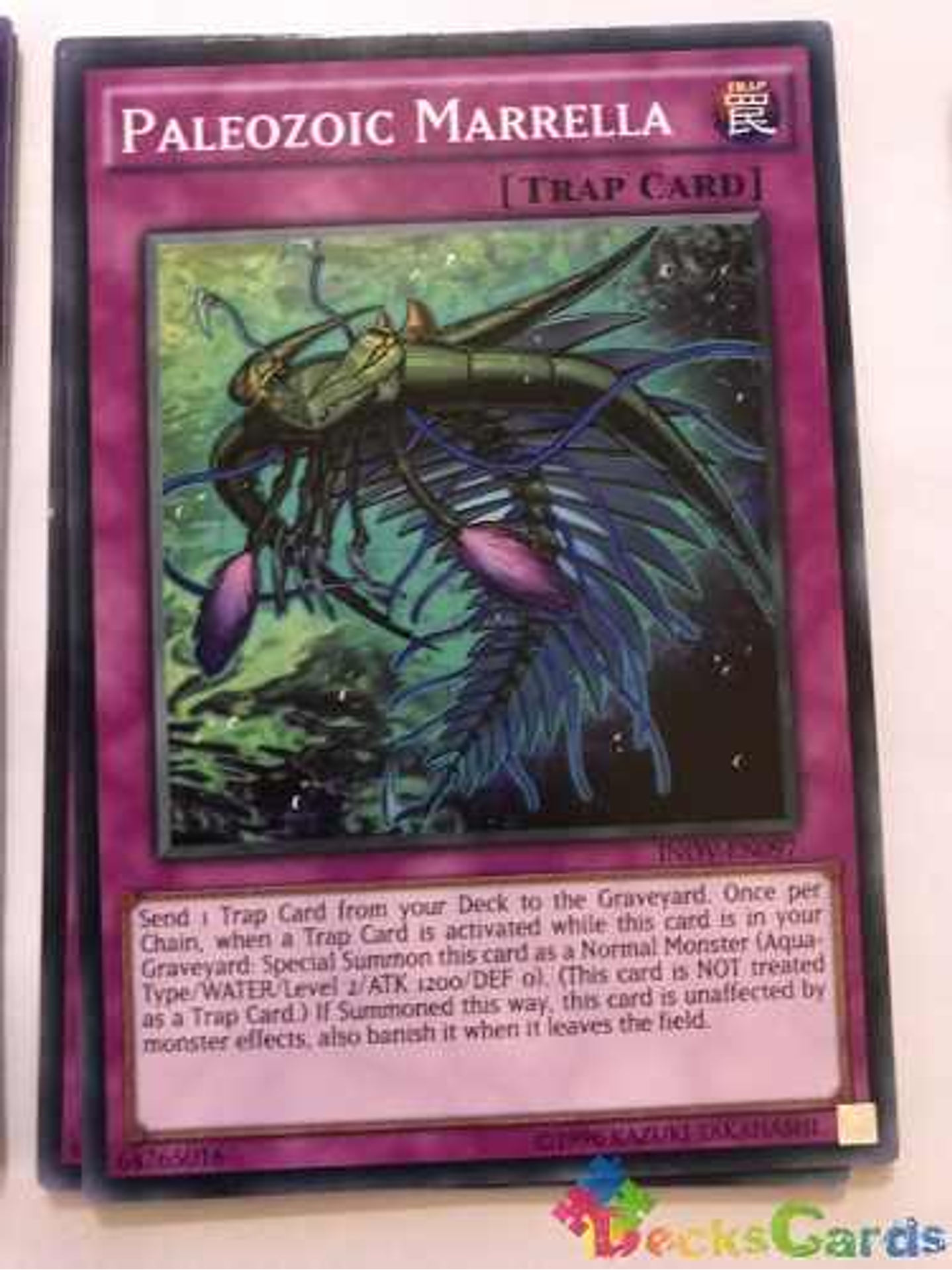 Paleozoic Marrella - inov-en097 - Common Unlimited 1