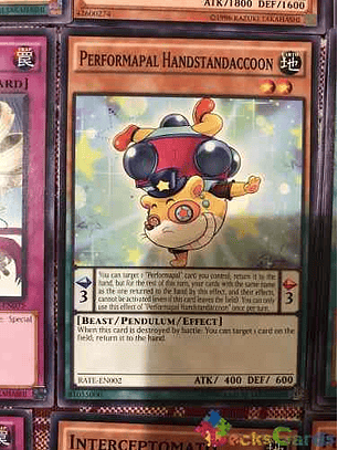 Performapal Handstandaccoon - rate-en002 - Common Unlimited
