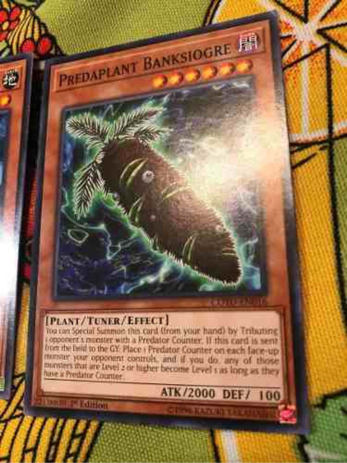 Predaplant Banksiogre - cotd-en016 - Common 1st Edition 1