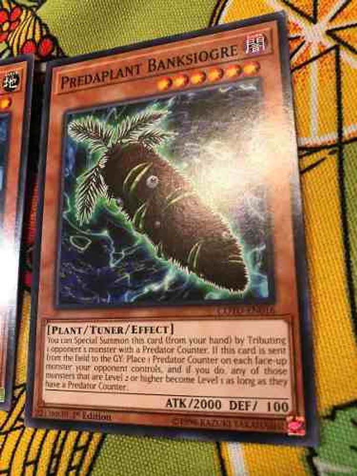 Predaplant Banksiogre - cotd-en016 - Common 1st Edition 1