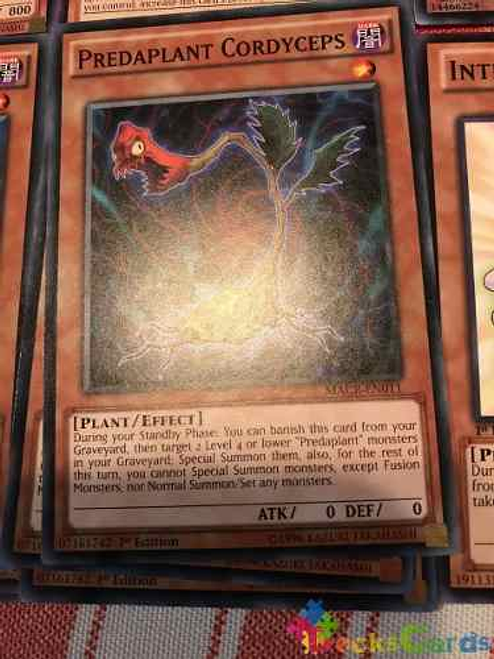 Predaplant Cordyceps - macr-en011 - Common 1st Edition 1