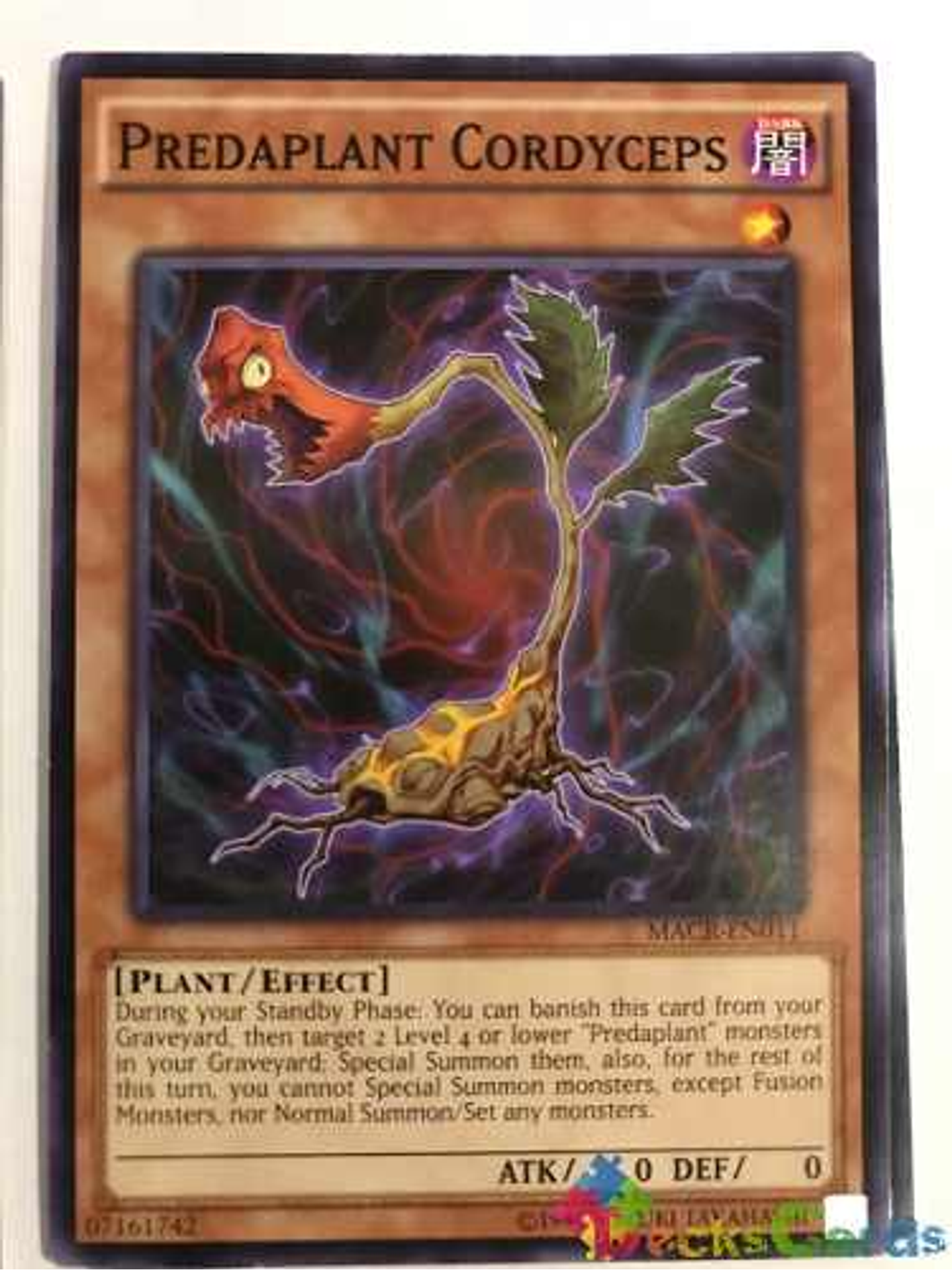 Predaplant Cordyceps - macr-en011 - Common Unlimited 1