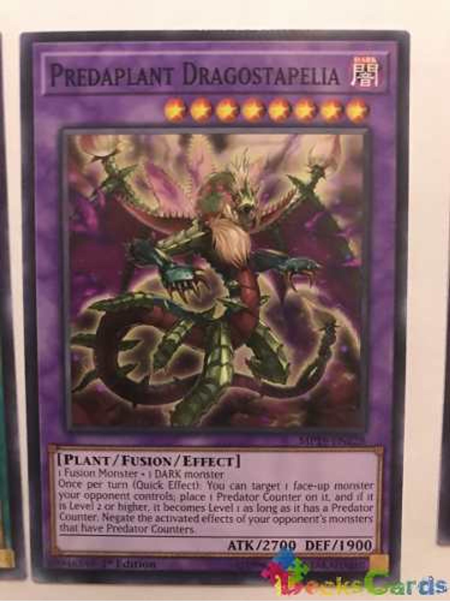 Predaplant Dragostapelia - mp19-en228 - Common 1st Edition 1