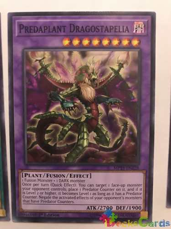 Predaplant Dragostapelia - mp19-en228 - Common 1st Edition 1