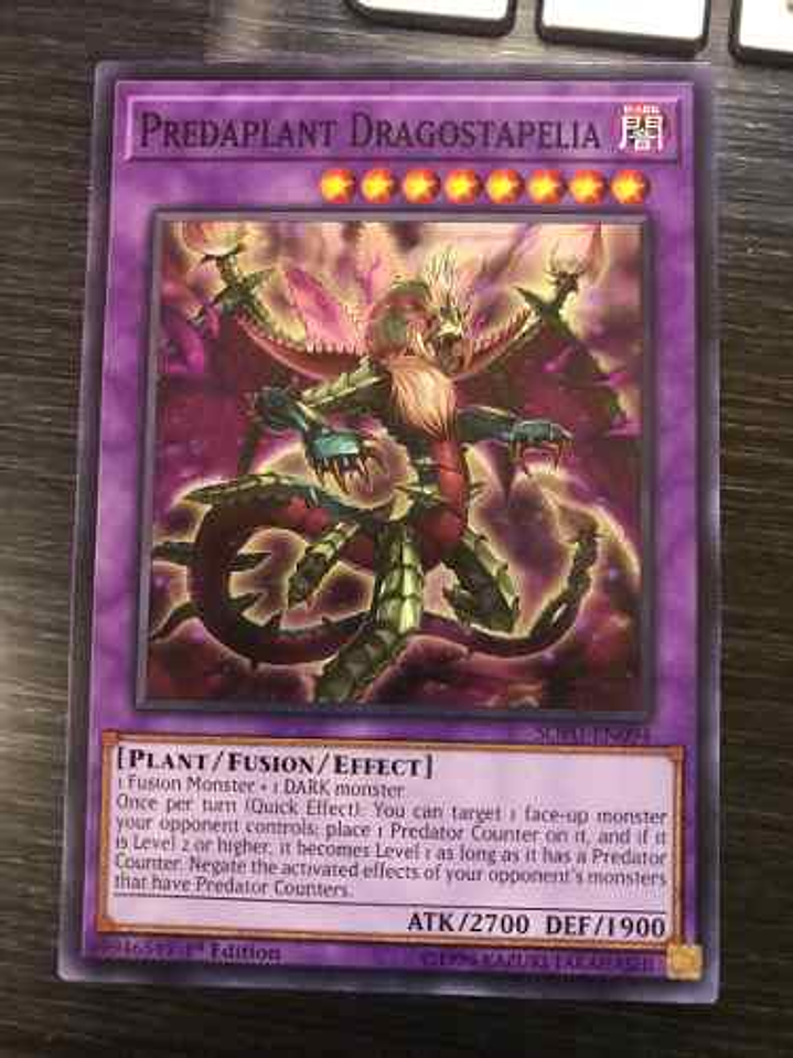 Predaplant Dragostapelia - sofu-en094 - Common 1st Edition 1