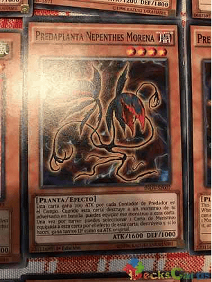 Predaplant Moray Nepenthes - inov-en007 - Common 1st Edition