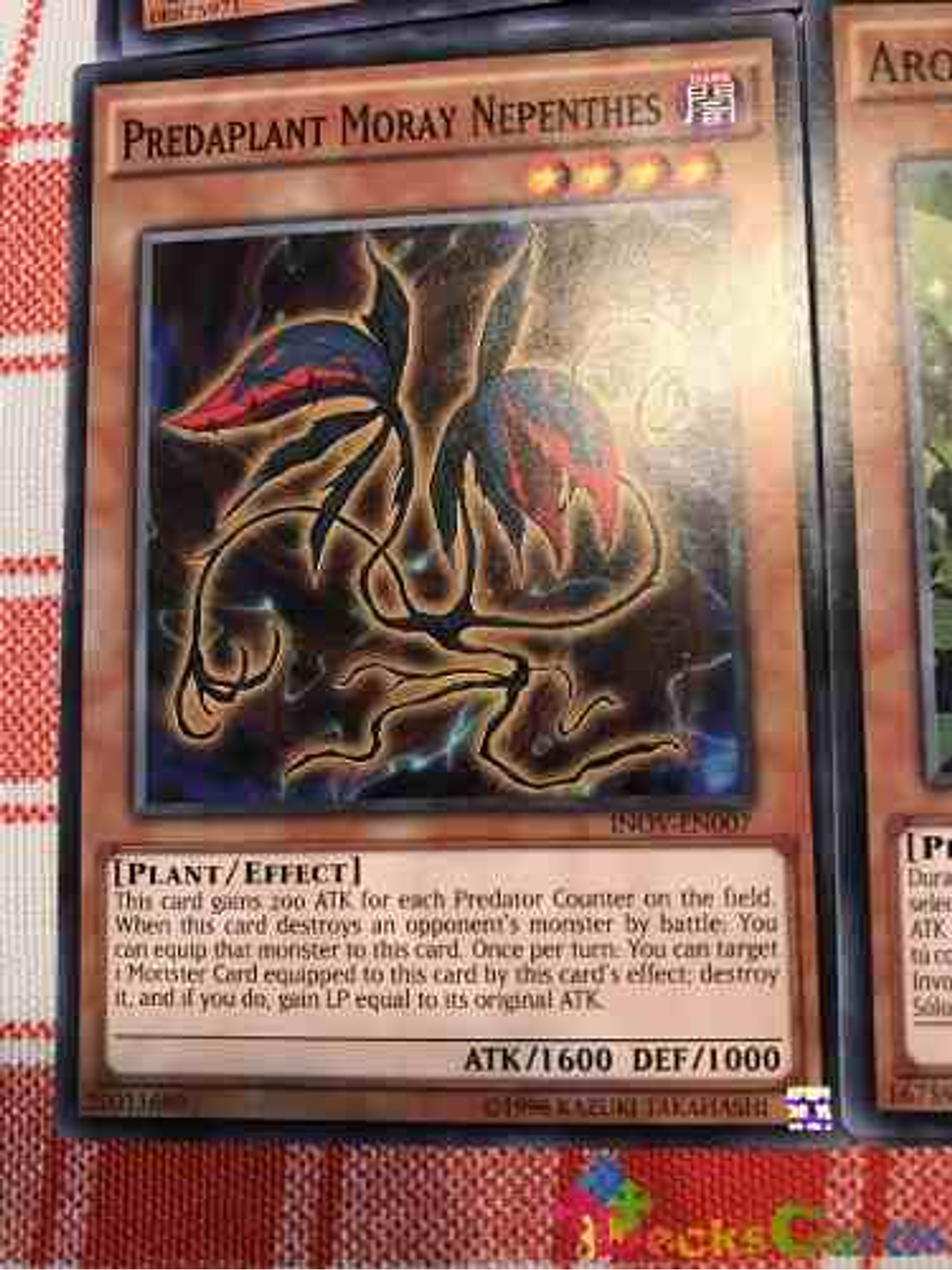 Predaplant Moray Nepenthes - inov-en007 - Common Unlimited 1