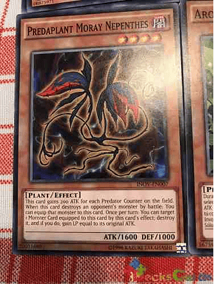 Predaplant Moray Nepenthes - inov-en007 - Common Unlimited