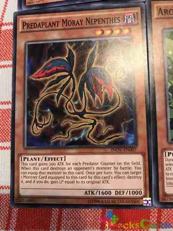 Predaplant Moray Nepenthes - inov-en007 - Common Unlimited 1