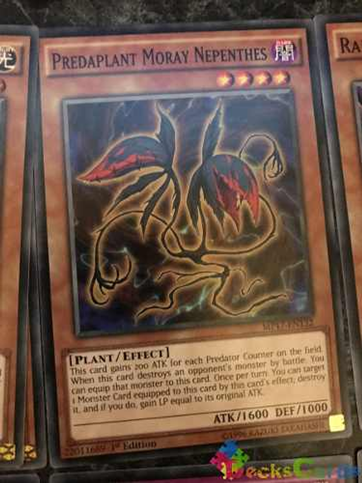 Predaplant Moray Nepenthes - mp17-en132 - Common 1st Edition 1