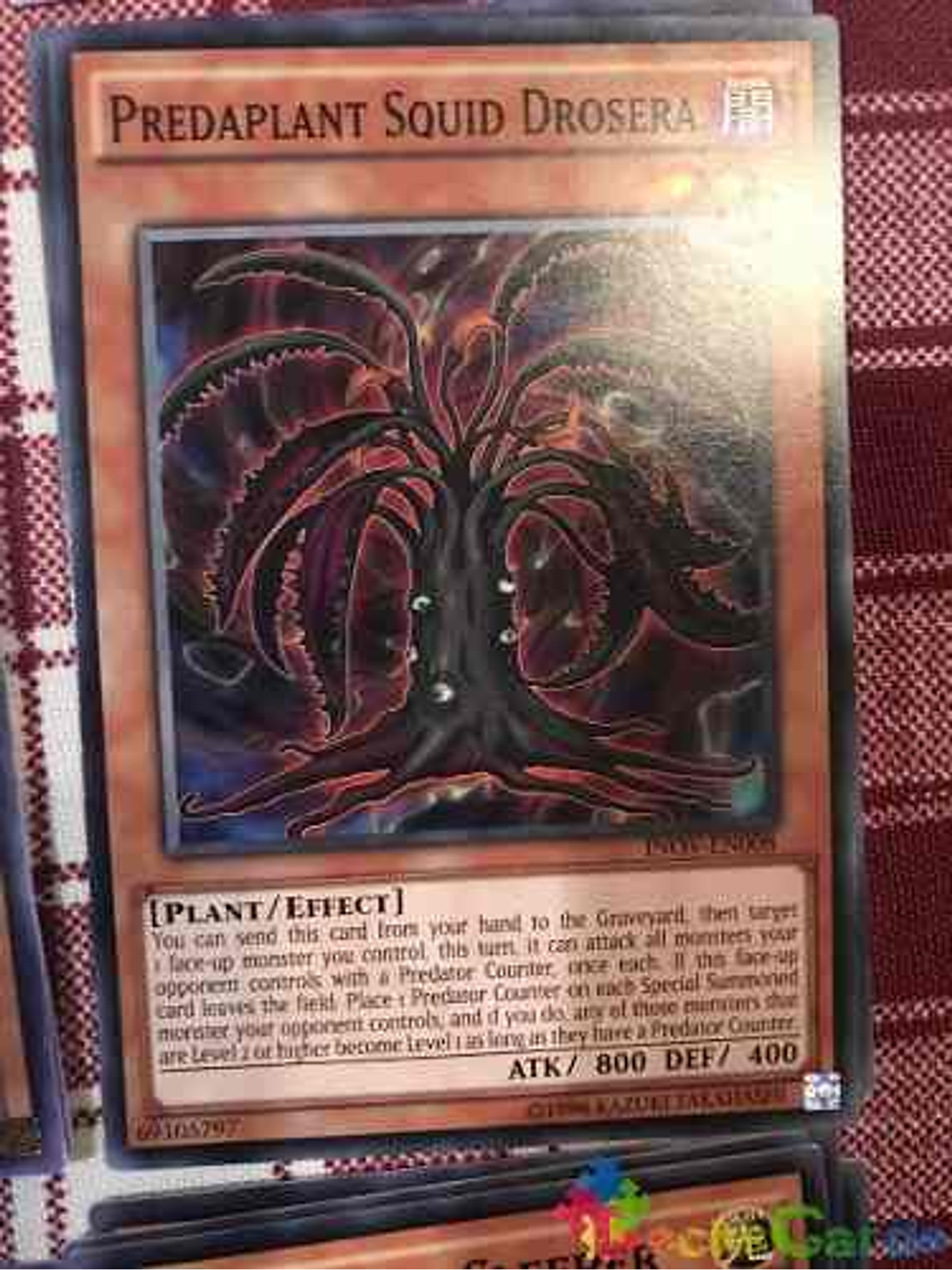 Predaplant Squid Drosera - inov-en008 - Common Unlimited 1