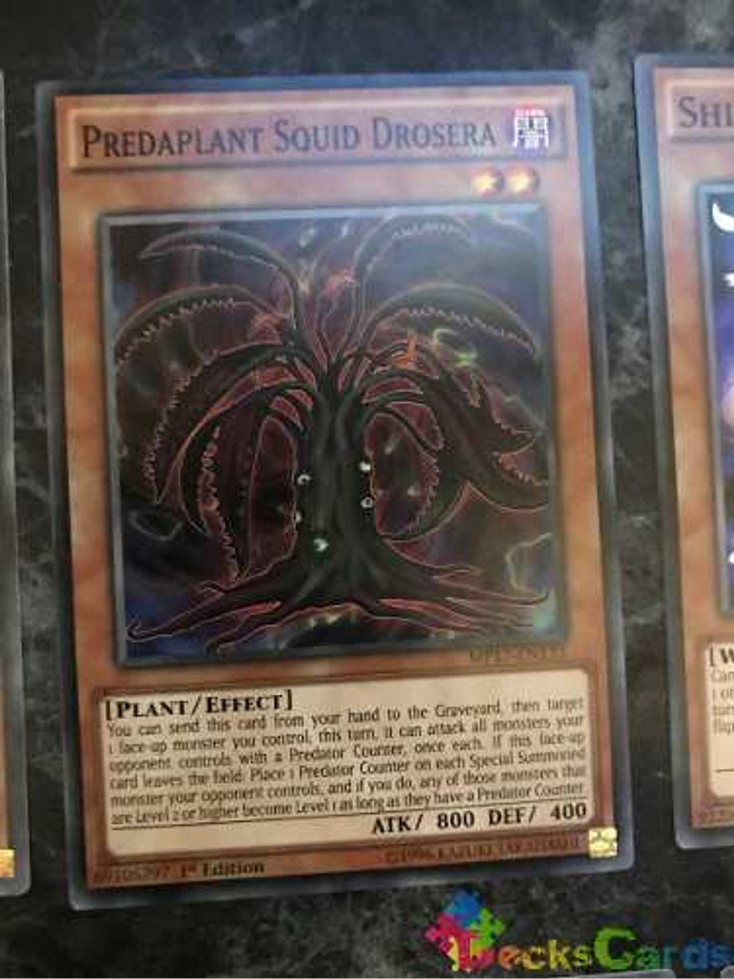 Predaplant Squid Drosera - mp17-en133 - Common 1st Edition 1