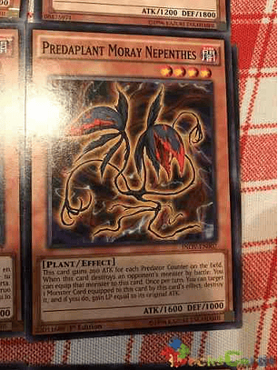 Predaplant Moray Nepenthes - inov-en007 - Common 1st Edition