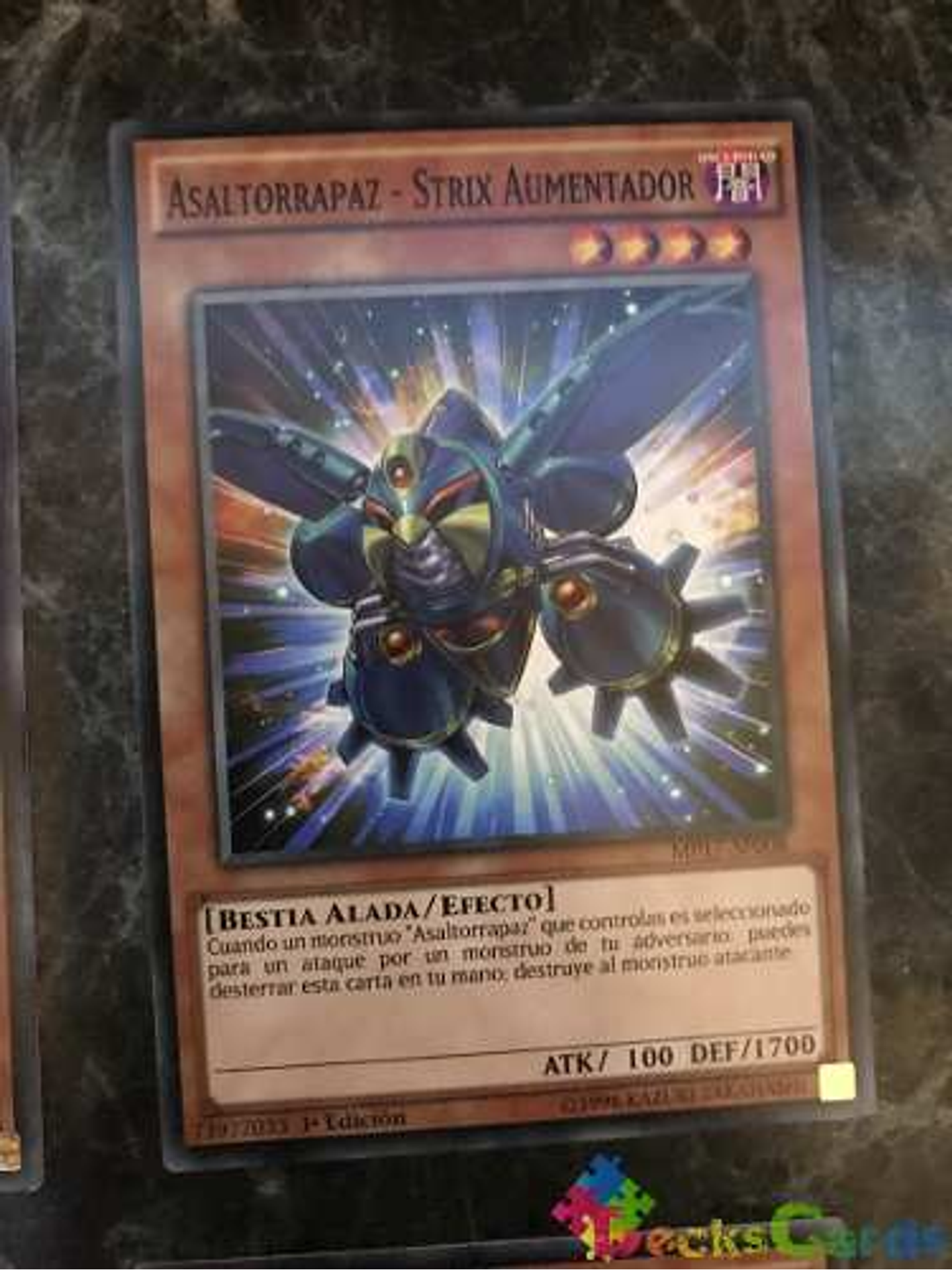 Raidraptor - Booster Strix - mp17-en008 - Common 1st Edition 1