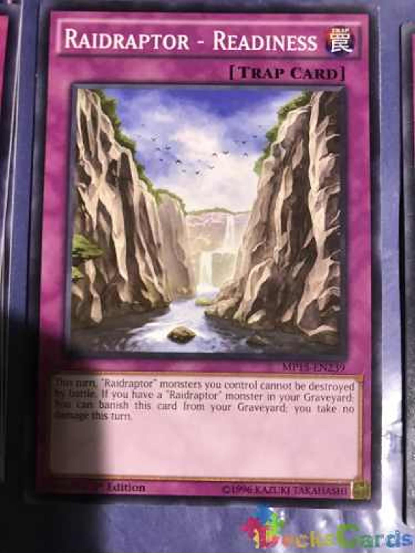 Raidraptor - Readiness - mp15-en239 - Common 1st Edition 1