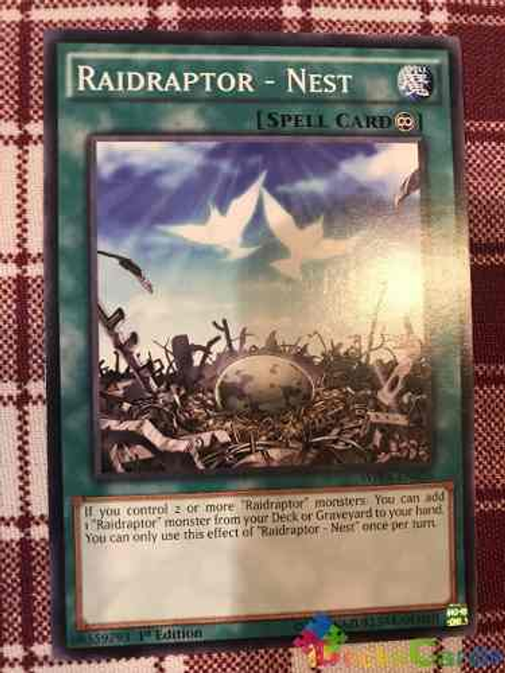 Raidraptor - Nest - wira-en026 - Common 1st Edition 1