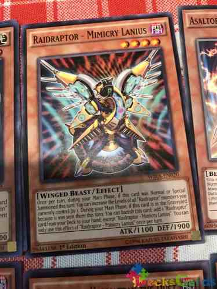 Raidraptor - Mimicry Lanius - wira-en020 - Common 1st Editio 1
