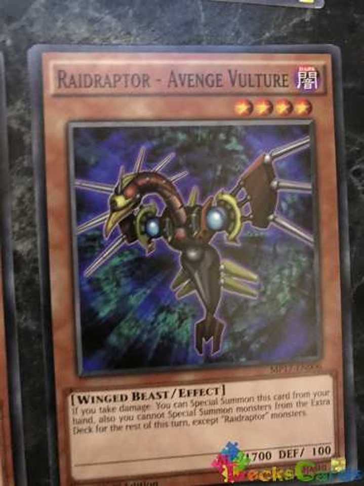 Raidraptor - Avenge Vulture - mp17-en006 - Common 1st Editio 2