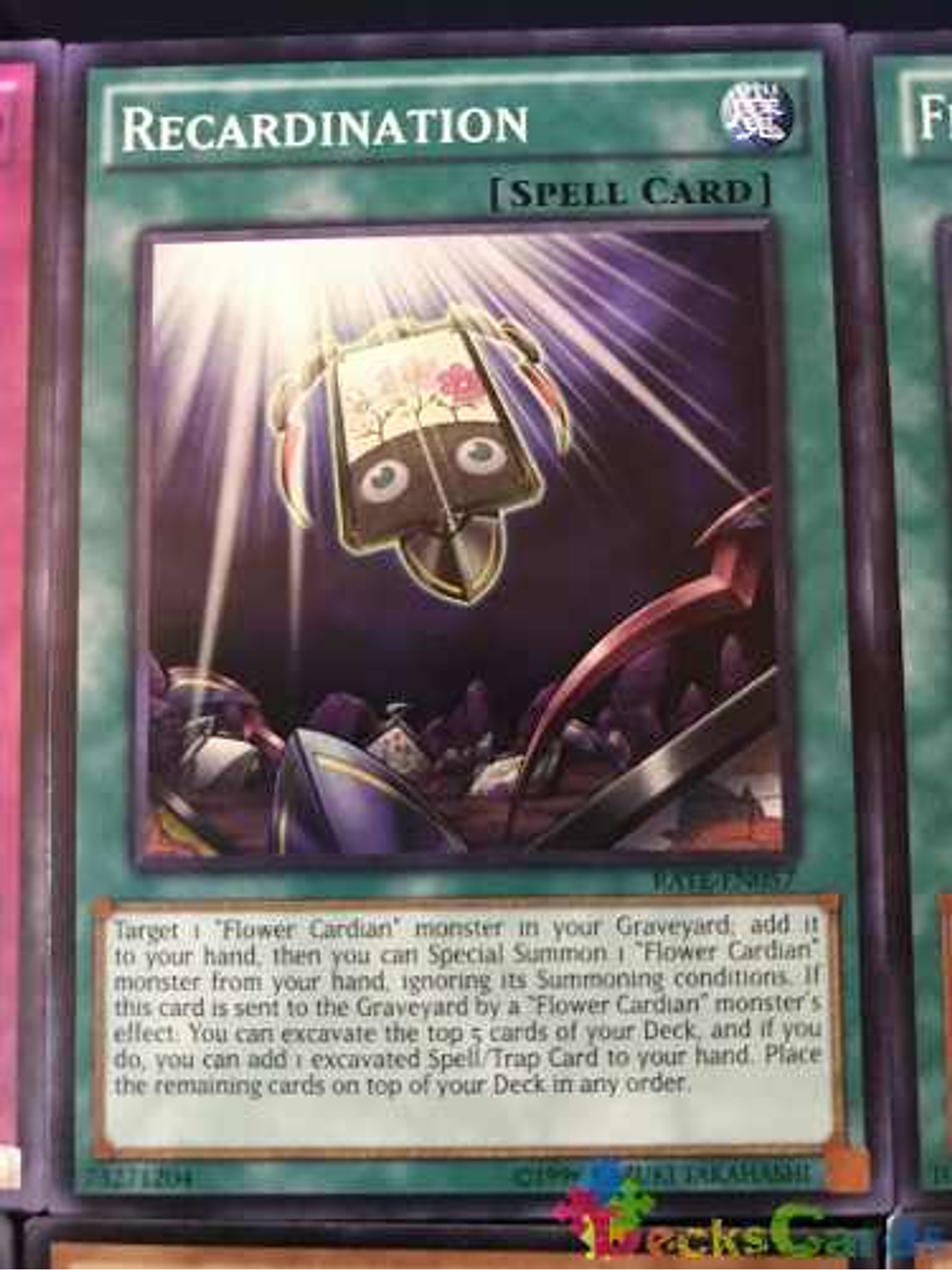 Recardination - rate-en057 - Common Unlimited 1