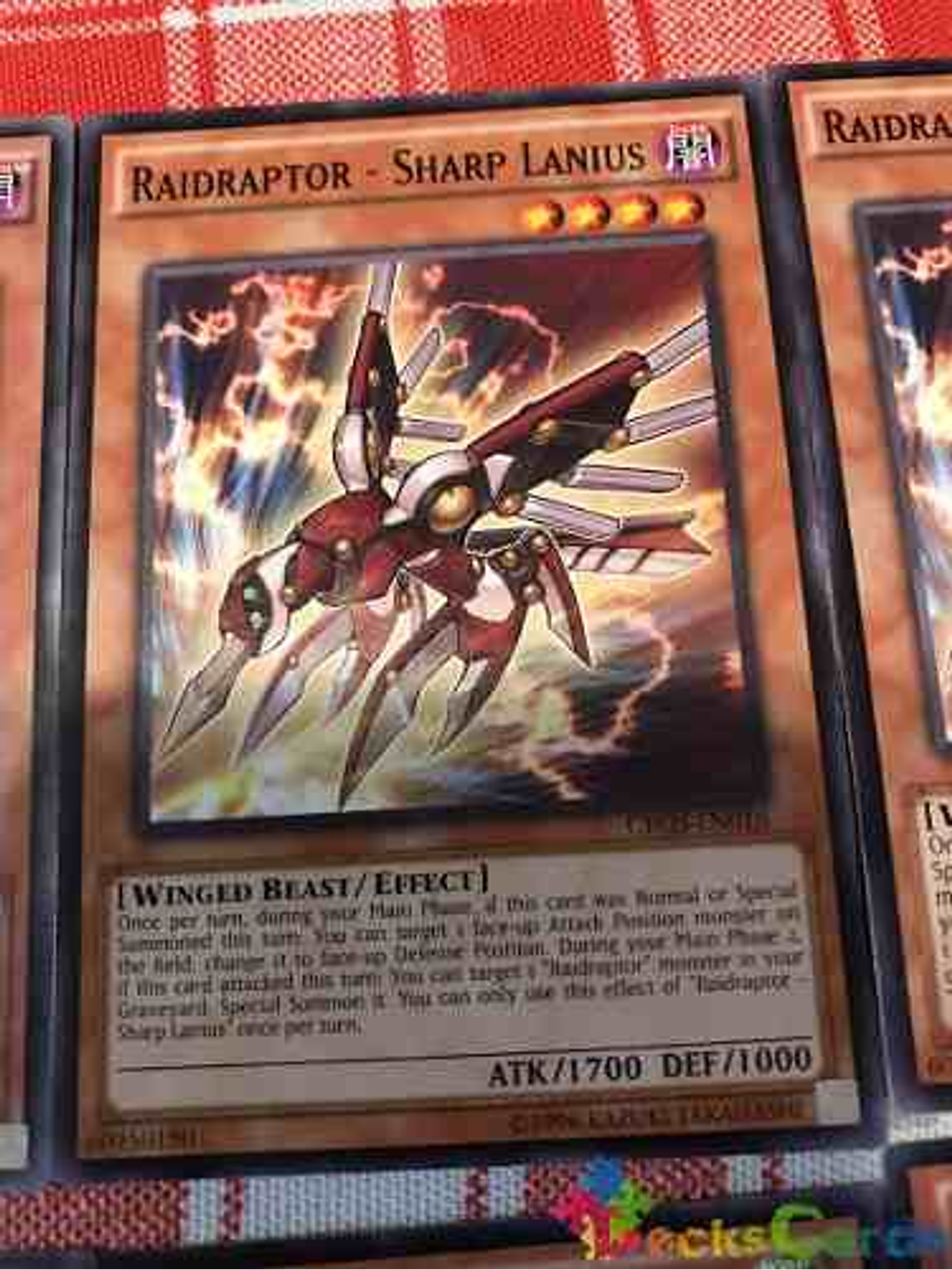 Raidraptor - Sharp Lanius - cros-en016 - Common Unlimited 2