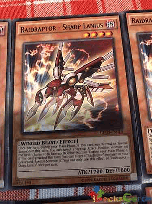 Raidraptor - Sharp Lanius - cros-en016 - Common Unlimited