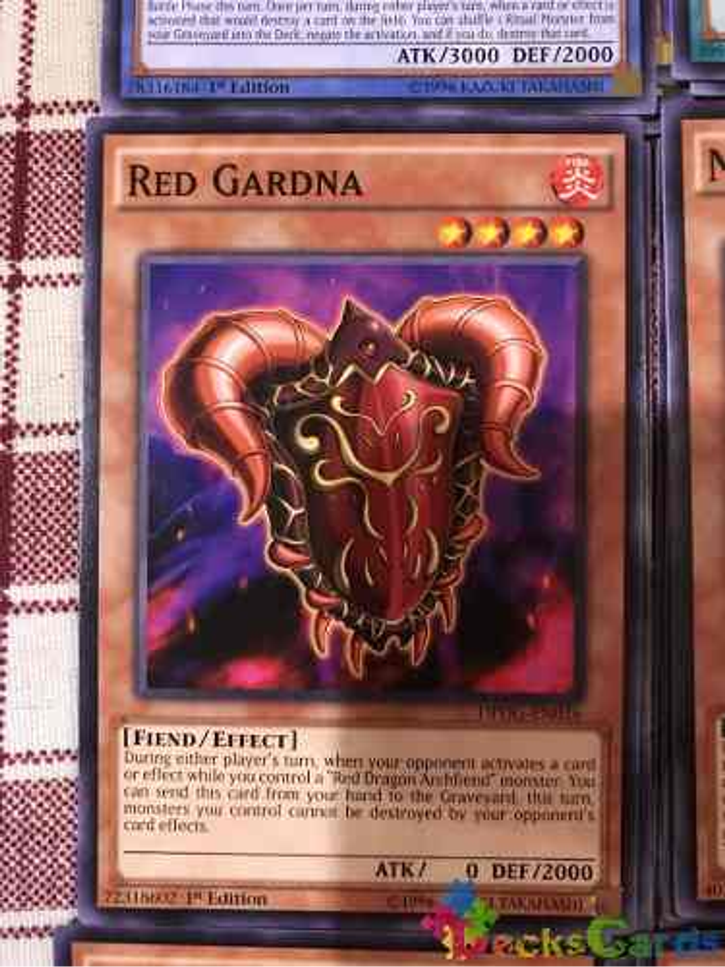 Red Gardna - dpdg-en026 - Common 1st Edition 1