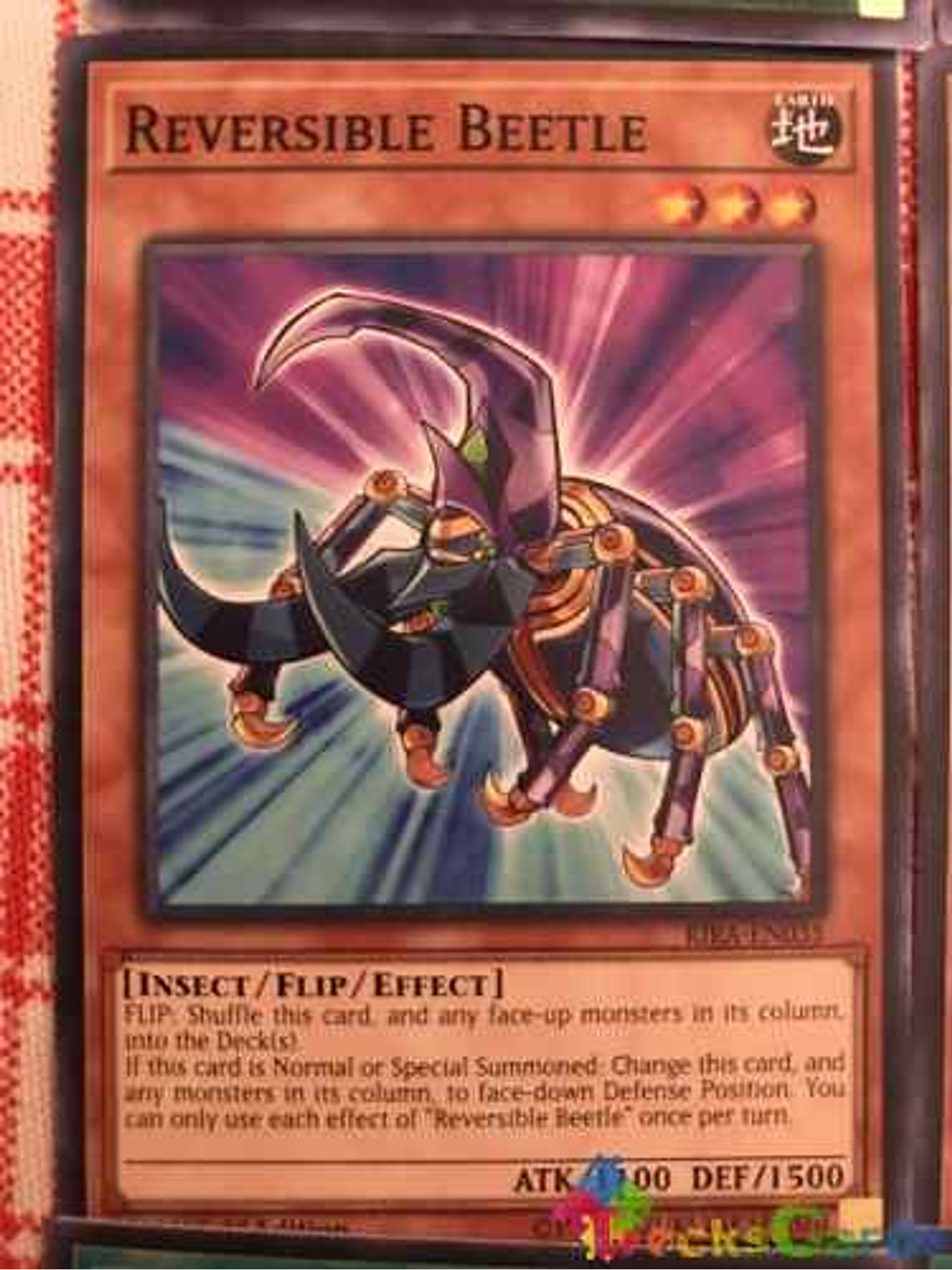 Reversible Beetle - rira-en035 - Common 1st Edition 1