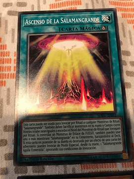Rise Of The Salamangreat - sofu-en052 - Common 1st Edition