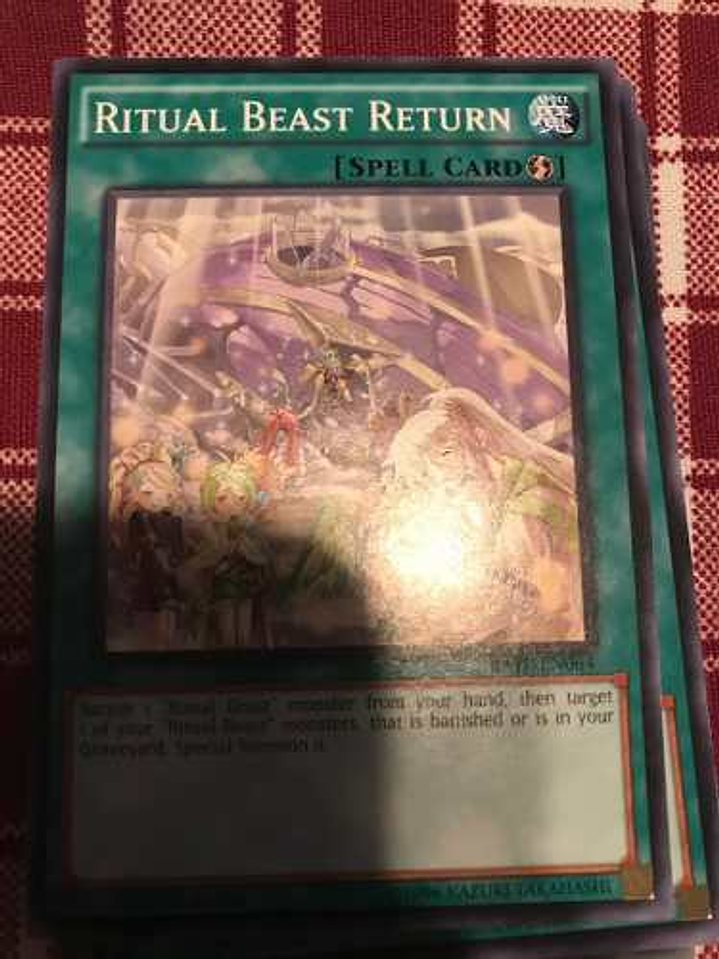 Ritual Beast Return - rate-en064 - Common 1st Edition 1