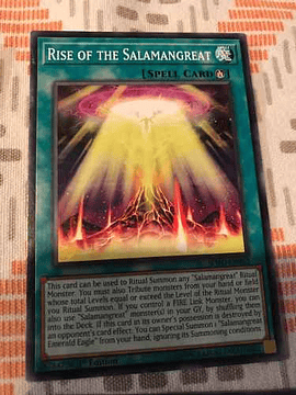 Rise Of The Salamangreat - sofu-en052 - Common 1st Edition