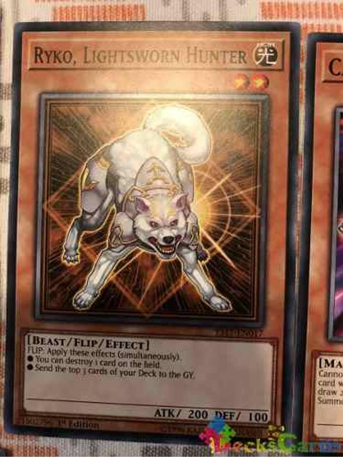 Ryko, Lightsworn Hunter - ys17-en017 - Common 1st Edition 1