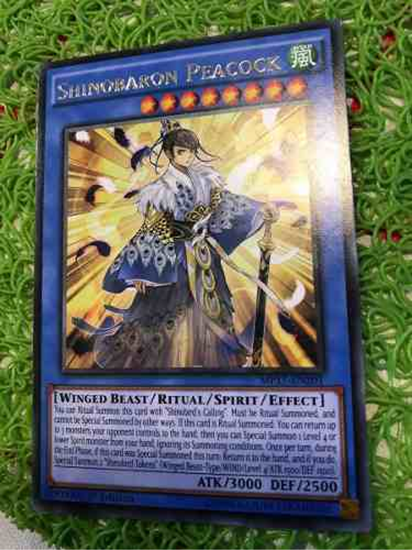 Shinobaron Peacock - mp17-en201 - Rare 1st Edition 1