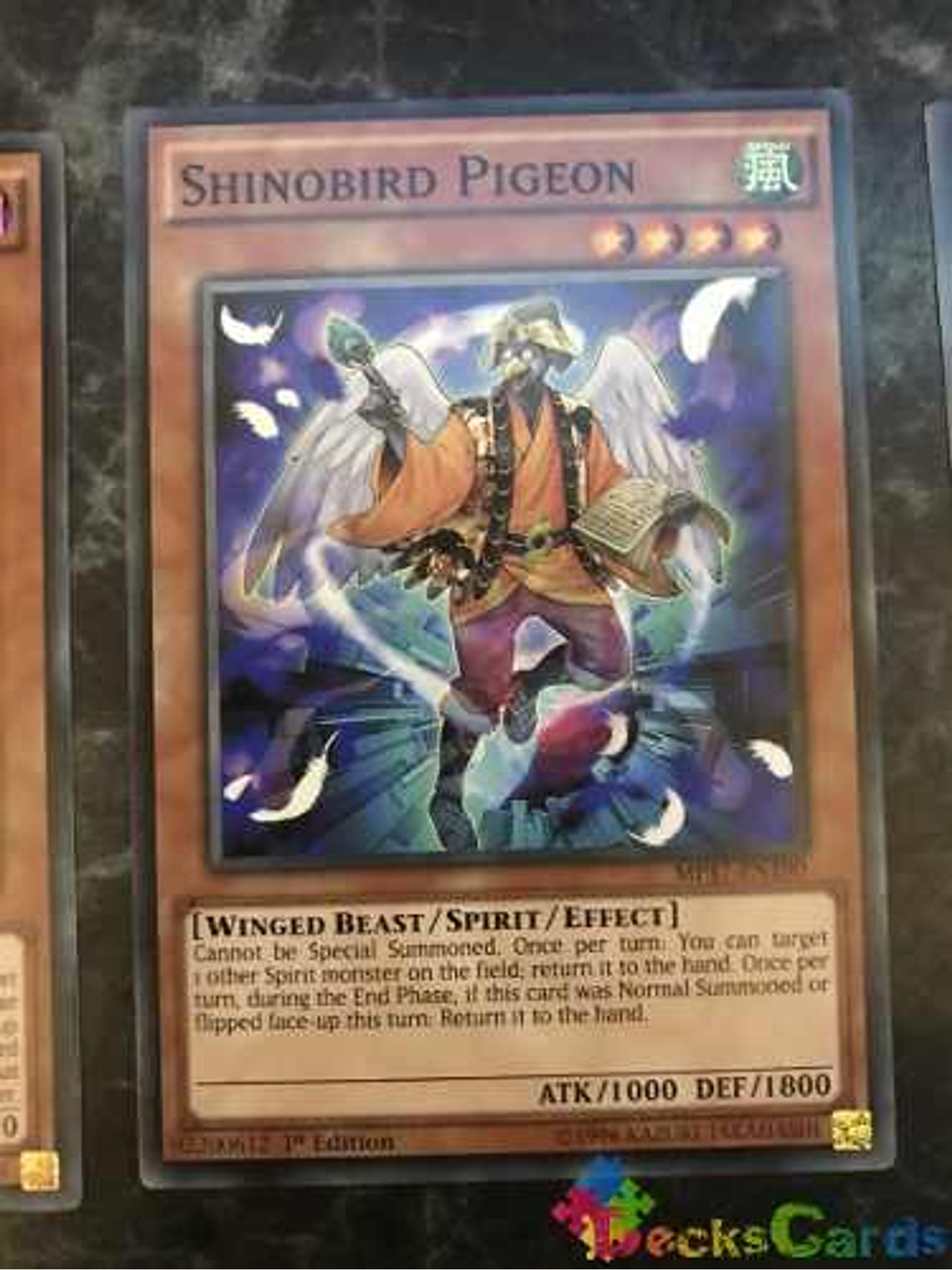 Shinobird Pigeon - mp17-en190 - Common 1st Edition 1